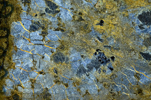 Cross Polarized, N9939