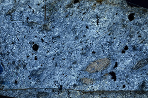 Cross Polarized, N9955