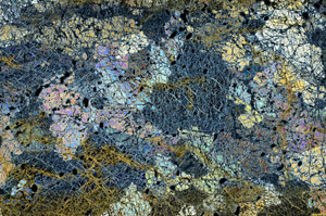 Cross Polarized, N9958