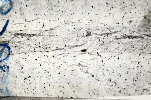 Plane Polarized, N9959
