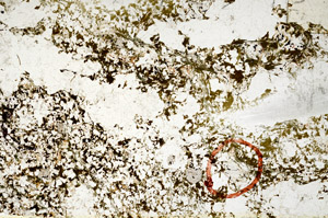 Plane Polarized, N9970