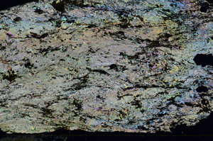 Cross Polarized, N9971