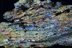 Cross Polarized, N9975