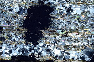 Cross Polarized, N9981