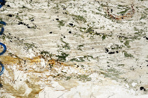 Plane Polarized, N9984