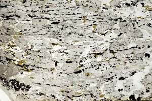 Plane Polarized, N9996