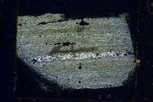 Cross Polarized, N10001/B