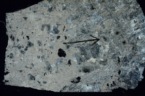 Cross Polarized, N10008