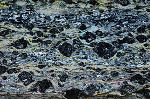 Cross Polarized, N10013