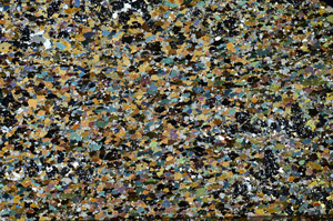 Cross Polarized, N10025