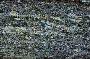 Cross Polarized, N10037