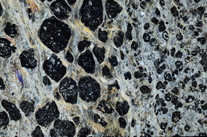 Cross Polarized, N10039