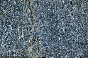 Cross Polarized, N10047