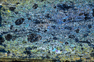 Cross Polarized, N10075