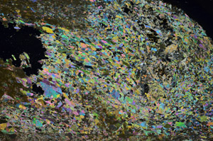 Cross Polarized, N10086