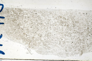 Plane Polarized, N10113