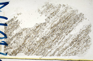 Plane Polarized, N10114