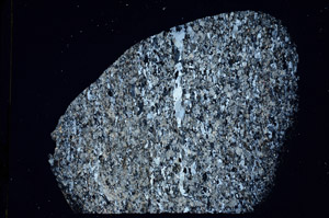 Cross Polarized, N10115