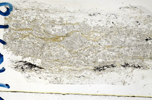 Plane Polarized, N10118