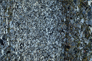 Cross Polarized, N10127
