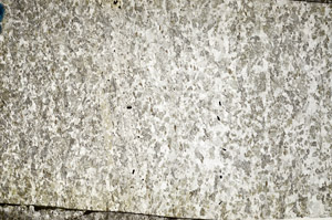 Plane Polarized, N10128