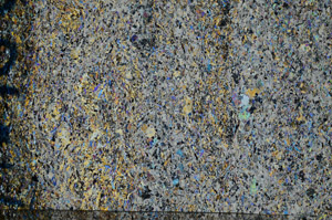 Cross Polarized, N10129