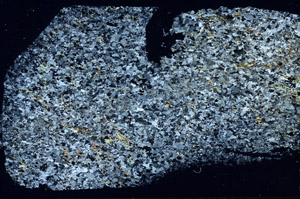 Cross Polarized, N10131