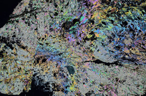 Cross Polarized, N10134