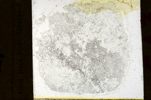 Plane Polarized, N10135