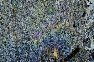 Cross Polarized, N10136