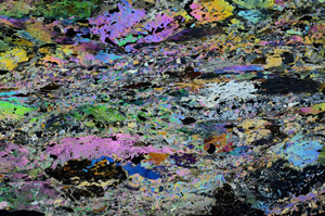 Cross Polarized, N10137