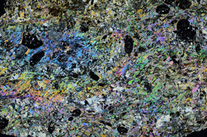 Cross Polarized, N10139