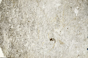 Plane Polarized, N10141