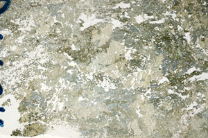 Plane Polarized, N10142