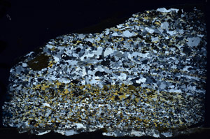 Cross Polarized, N10144