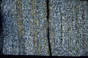 Cross Polarized, N10149