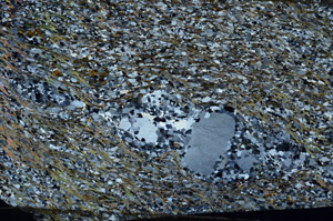 Cross Polarized, N10150