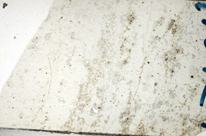 Plane Polarized, N10151