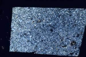 Cross Polarized, N10152