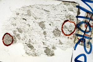 Plane Polarized, N10154