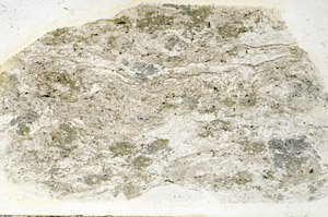 Plane Polarized, N10156