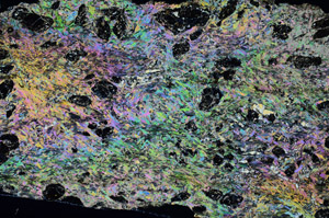 Cross Polarized, N10157