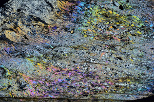 Cross Polarized, N10161