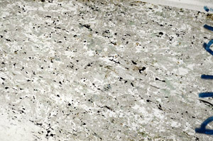 Plane Polarized, N10164