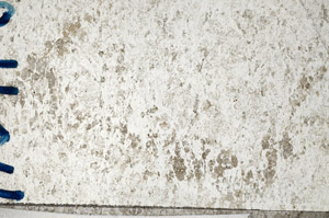 Plane Polarized, N10168