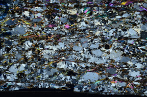 Cross Polarized, N10169