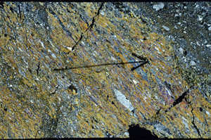 Cross Polarized, N10182/A
