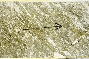 Plane Polarized, N10182/A