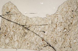 Plane Polarized, N10204