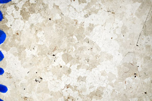 Plane Polarized, N10208